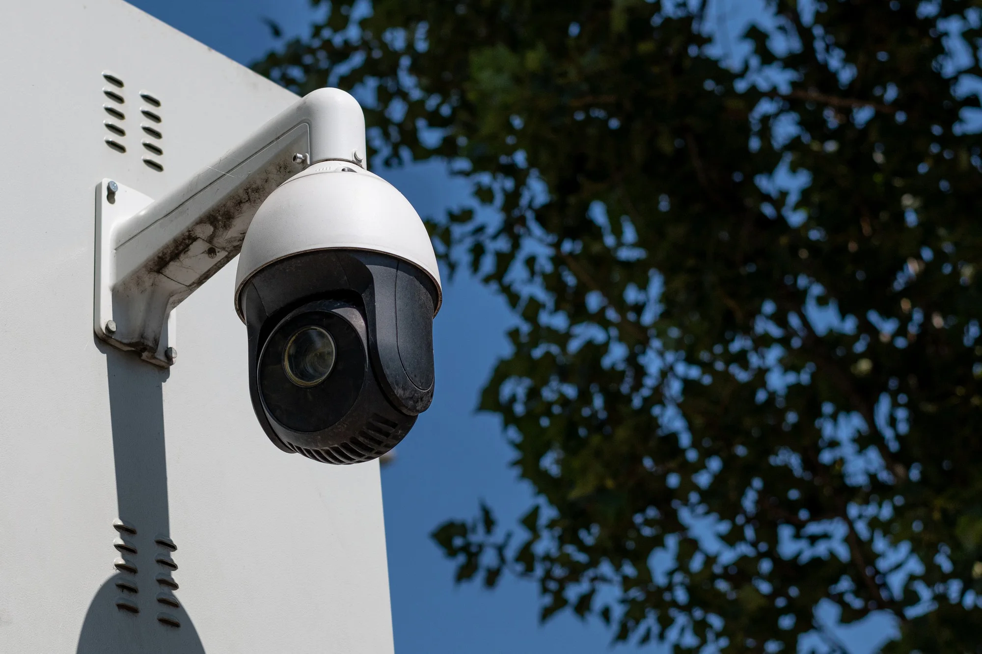Las mejores cámaras de seguridad para casa en
